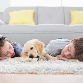 Вертикална прахосмукачка Ariete SCOPA 2722/00, 120W, 1 л, 2 скорости, Моторизирана четка с LED, Индикатор за батерия, Син