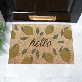 Изтривалка от кокосови влакна 40x60 cm Hello Lemons – Artsy Doormats