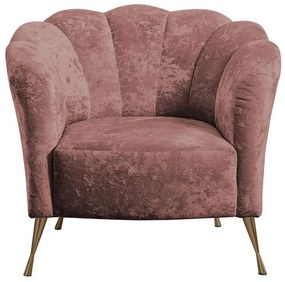 Фотьойл Adria GD-Sapio milo