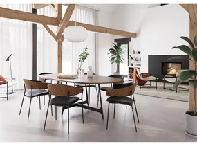 Черен/в светло естествен цвят трапезен стол с подлакътници Crib – DAN-FORM Denmark