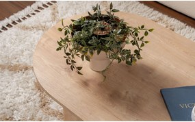 Холна маса Салима