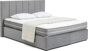Сиво боксспринг легло 160x200 cm Olia Bold Line – Bonami Selection
