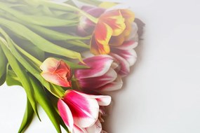Фототапет – Букет лалета