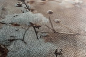 Картина на платно – Растение памук