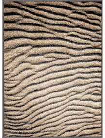Кафяв килим 200x280 cm Avanti – FD