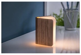 Кафява светлинна декорация с USB Booklight – Gingko
