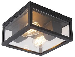 Индустриална таванна лампа черна IP44 2-светлинна - Шарлоа