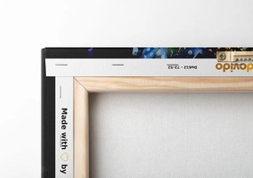 Картина на платно – Необикновена пеперуда