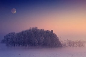 Тапет – Пълнолуние над село