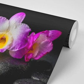 Фототапет – Орхидея на Зен камъни