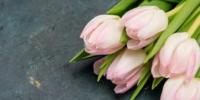 Картина на платно – Пастелно розови лалета