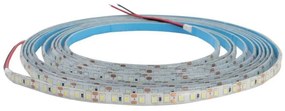 LED регулируема лента DAISY 5м, дневна бяла, IP65 за баня