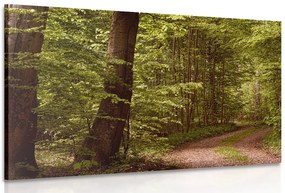 Картина на платно – Зелена гора