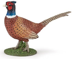 Papo - Фигурка Pheasant 50263