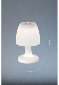 LED НАСТОЛНА ЛАМПА 2W+1W RGB