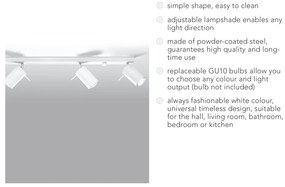 Бяло таванно осветително тяло 4L Etna - Sollux