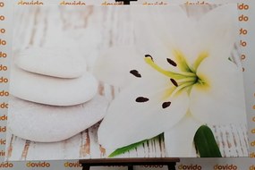 Картина на платно – Лилия и масажни камъни в бяло