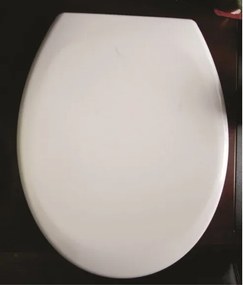 Тоалетна седалка ICST 721