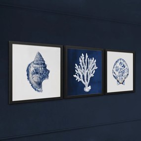 Картина 30x30 cm Sea Treasure – Styler