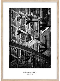 Естествена стенна рамка , 53 x 73 cm Floryda - Styler