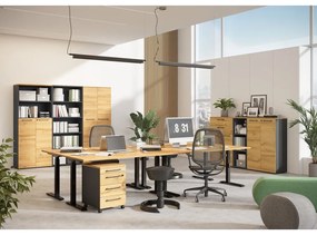 Работна маса с електрическо регулиране на височината с дъбов плот 80x160 cm Agenda – Germania