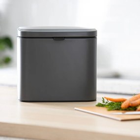 Тъмносив контейнер за компостируеми отпадъци 4 l Essentials – Ladelle