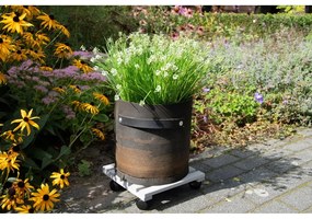 Подложка за саксии от борово дърво, широчина 29 cm - Esschert Design