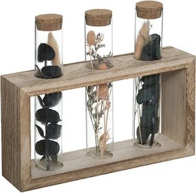 Декоративни цветя atmosphera House, 17 cm