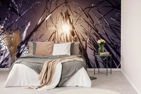 Самозалепващ фототапет – Полска трева