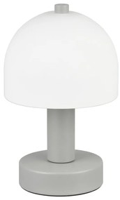 Сива настолна лампа със стъклен абажур (височина 19 cm) Glenn – Trio
