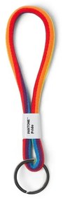 Цветна примка за ключове Pride - Pantone