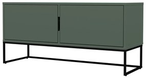 Сиво-зелена телевизионна маса 118x57 cm Lipp - Tenzo