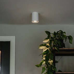 Бяла модерна таванна лампа с възможност за накланяне и завъртане - Rondoo up