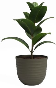 Саксия за цветя от рециклирана пластмаса ø 20 cm Havana – Artevasi