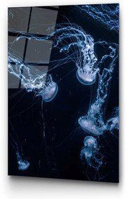 Живопис върху стъкло 70x100 cm Jelly Fish - Wallity