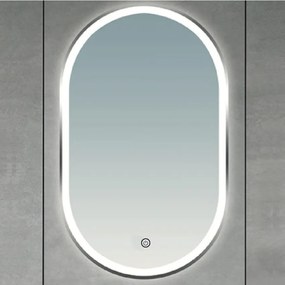 Brilagi-LED Огледало за баня ERBA LED/25W/230V 50x80 cm златно IP44 CRI 90 с димер + CCT