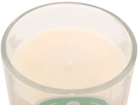 Ароматна свещ atmosphera Floa, Стъкло, 210 g - Vanilla