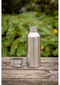 Бутилка от неръждаема стомана в сребрист цвят 650 ml – Esschert Design