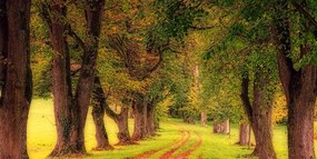 Картина на платно – Пътека през есенната гора