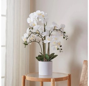Eglo 428024 - Изкуствено растение HYUGA 65x50 см, орхидея в саксия