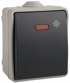 Обикновен Ключ Превключвател Solera 3320il IP54 6,5 x 8 x 5,5 cm