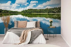 Самозалепващ фототапет – Природа през лятото