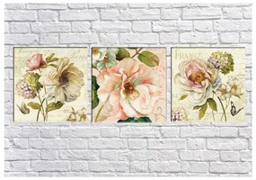 Комплект от 3 картини Vintage Flowers - Tablo Center