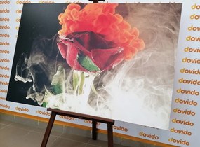 Картина на платно – Роза с абстрактни елементи