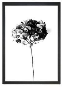 Плакат 24x29 cm Velvet Flower - Tablo Center
