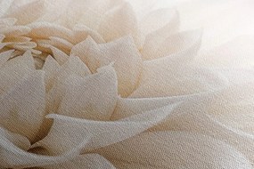 Картина на платно – Бели венчелистчета