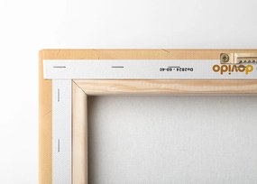 Картина на платно – Минималистична дъга Peach Fuzz