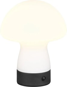 LED настолна лампа в матово бял цвят със стъклен абажур (височина 18 cm) Dooley – Trio