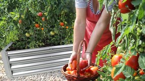 Повдигната цветна леха сребриста, ъглова 140 x 60 x 30 cm