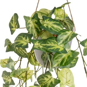 Изкуствени растения в комплект от 2 бр. (височина 55 cm) – Casa Selección